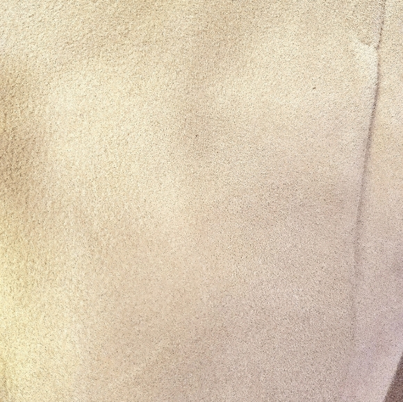 Madewell Shrunken Zip-Front Jacket in Suede size 0 in Light Sand color - Picture 11 of 14